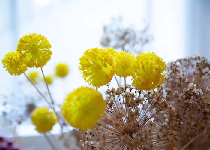 Апартаменты Clifton Village Бристоль