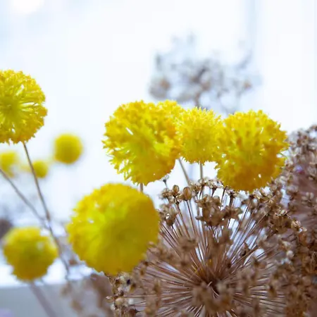 Lejlighed Clifton Village Bristol